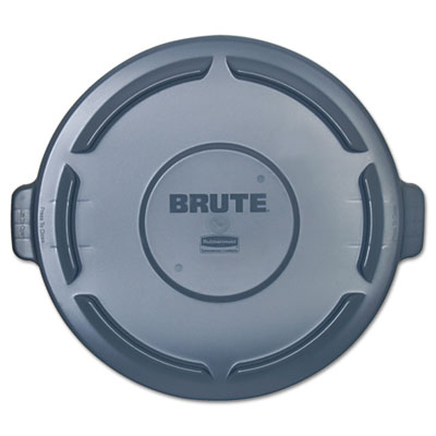 Brute