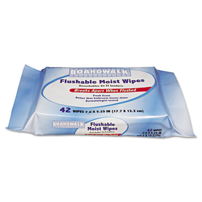 Boardwalk Personal Moist Towelettes Refill, 42 Sheets