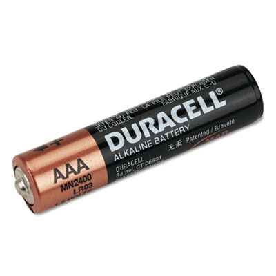 Duracell Coppertop Alkaline
Batteries, Reclosable, AAA,
20/Pack