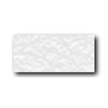 Hillyard Pad Hand Lt Duty 98 Wht 10 Pac